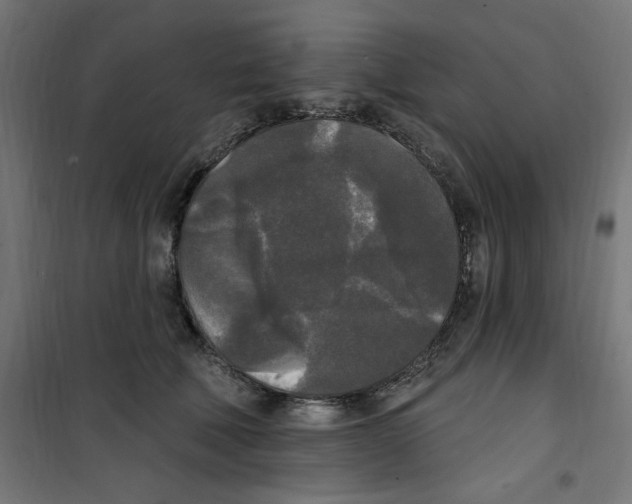 X0000100330610200807031236