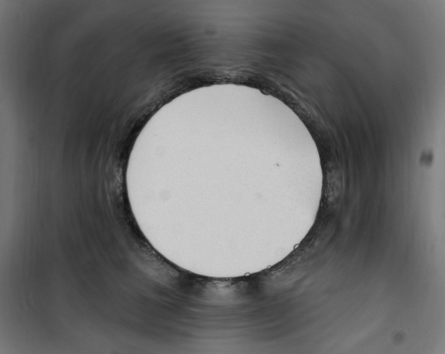 X0000100330613200807031236