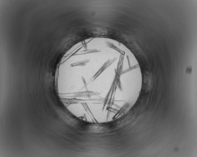 X0000100330614200807031236