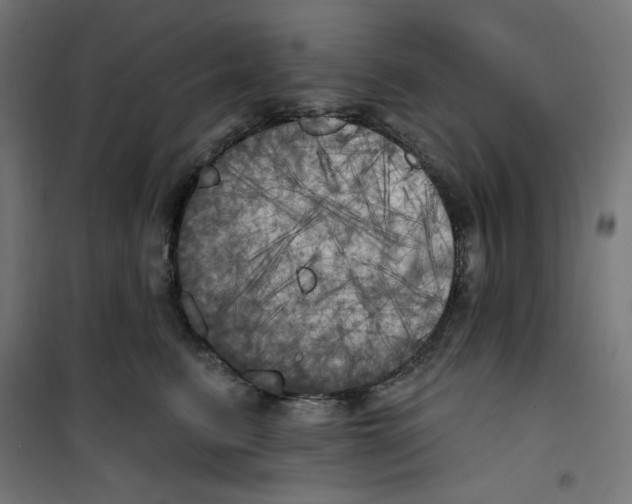 X0000100330615200807031236