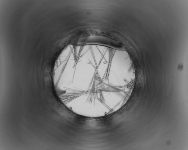 X0000100330616200807031236