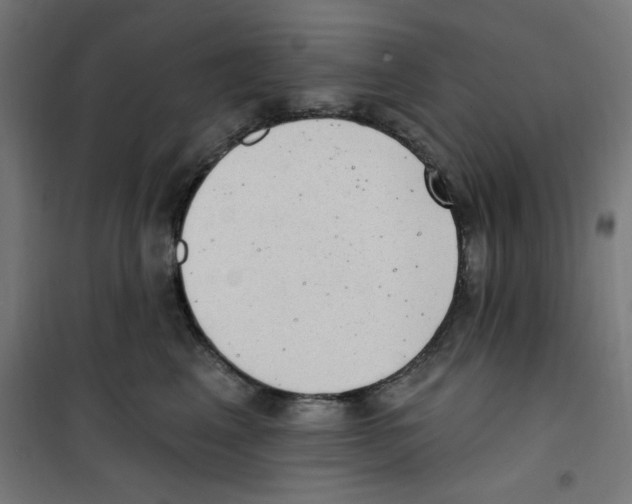 X0000100330617200807031236