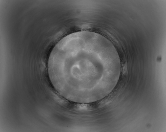 X0000100330618200807031236