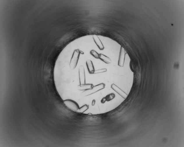 X0000100330619200807031236