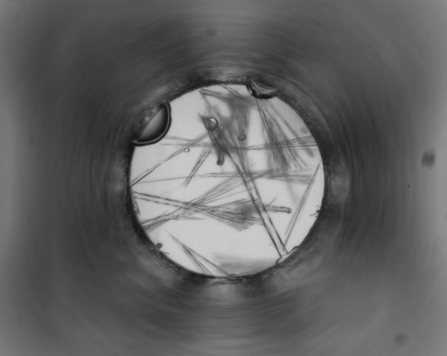 X0000100330620200807031236