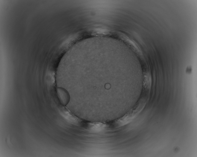 X0000100330621200807031236