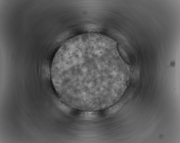 X0000100330622200807031236