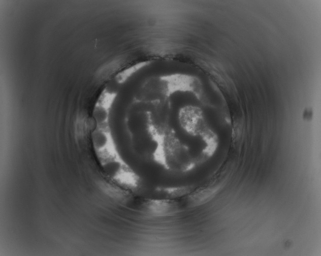 X0000100330623200807031236