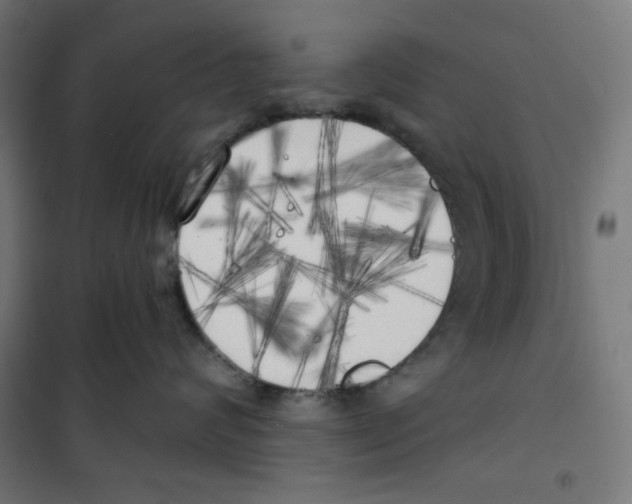 X0000100330624200807031236