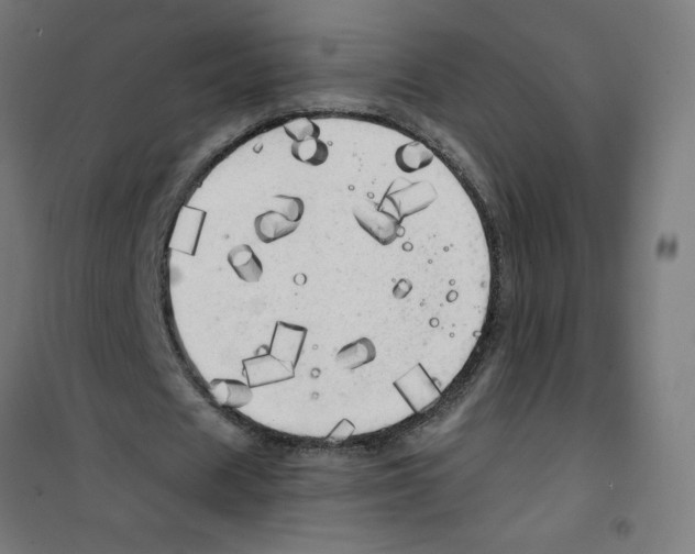 X0000100330625200807031235
