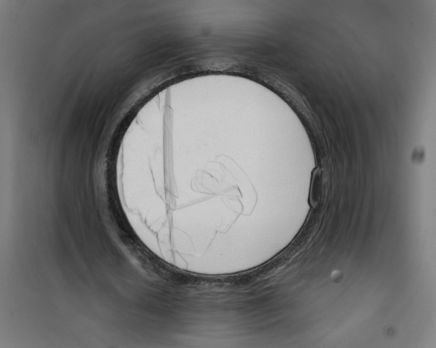 X0000100330626200807031235