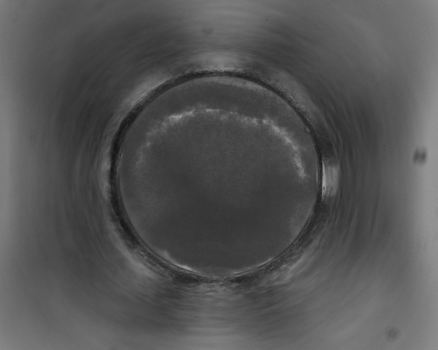 X0000100330627200807031235