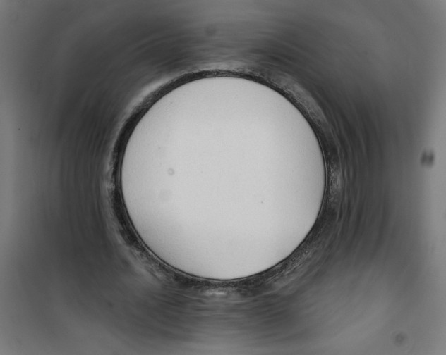 X0000100330628200807031235