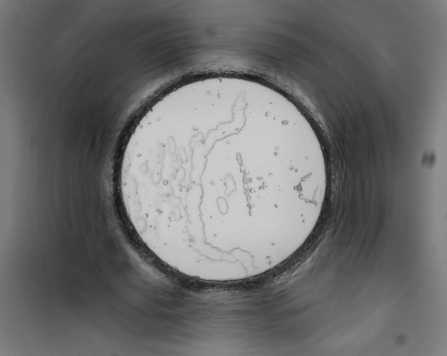 X0000100330629200807031235