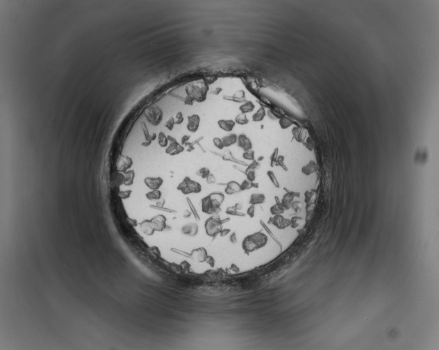 X0000100330630200807031236