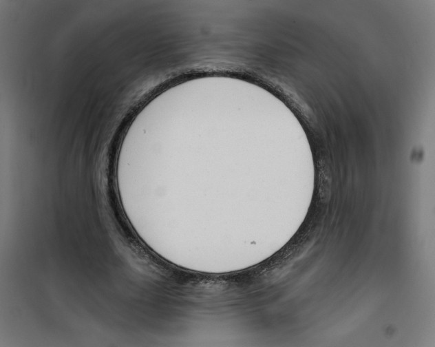 X0000100330631200807031236