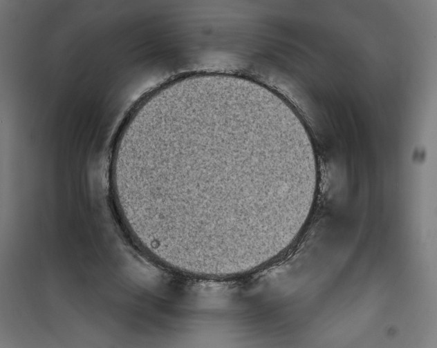 X0000100330632200807031236