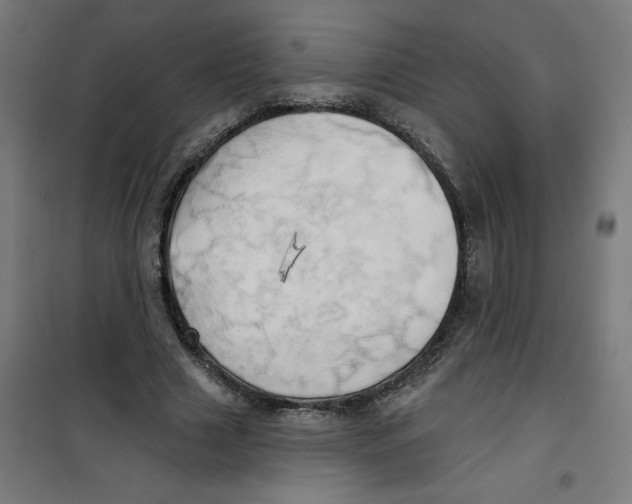 X0000100330633200807031236