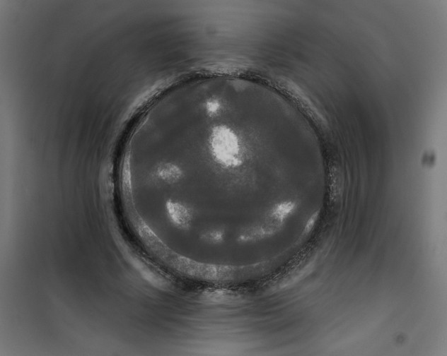 X0000100330634200807031236