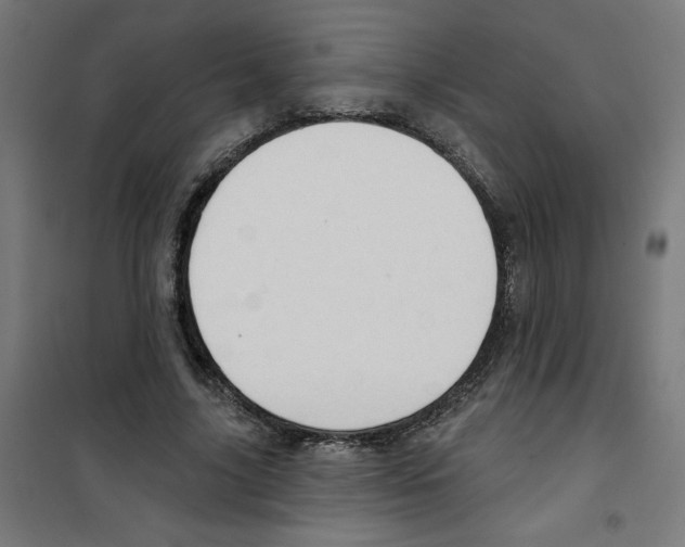 X0000100330635200807031236