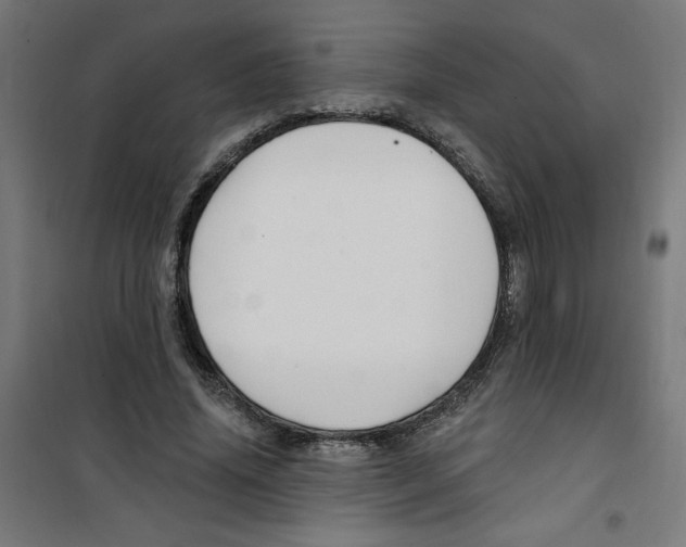 X0000100330636200807031236