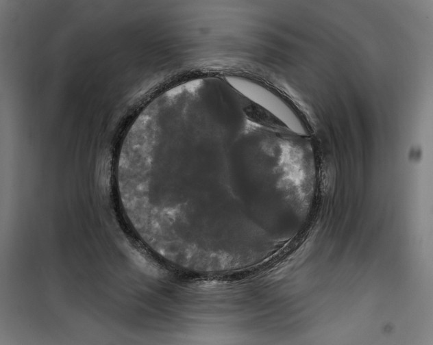 X0000100330637200807031236