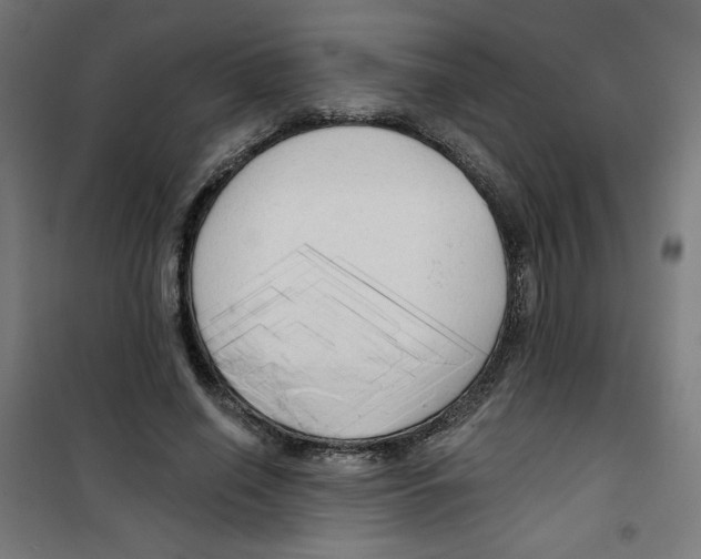 X0000100330638200807031236