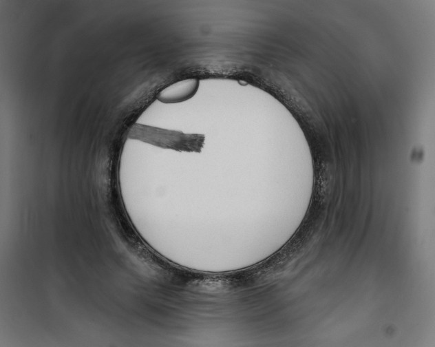 X0000100330639200807031236