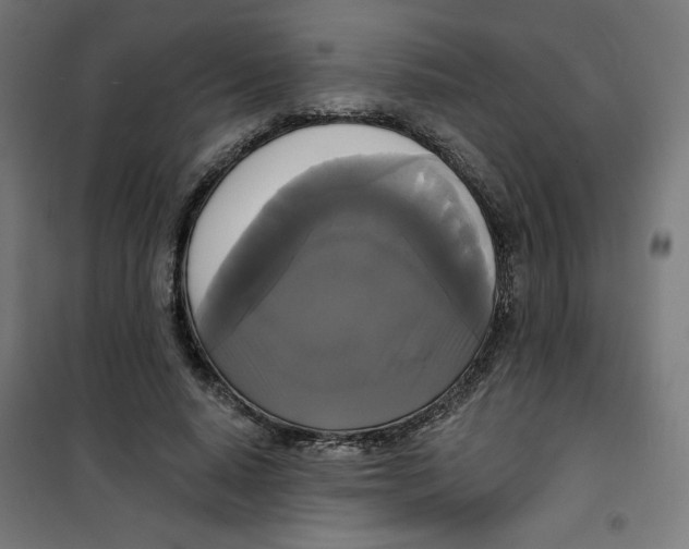 X0000100330640200807031236