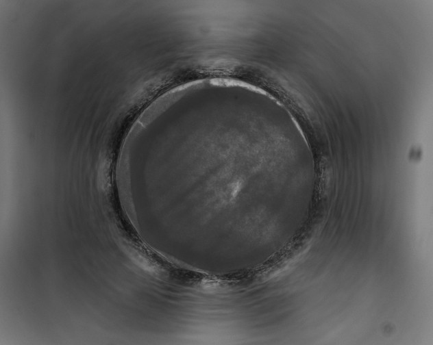 X0000100330641200807031236