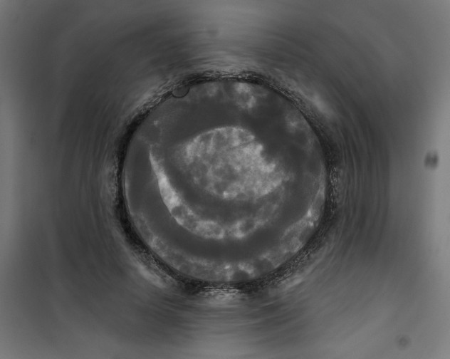 X0000100330642200807031236