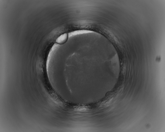 X0000100330643200807031236