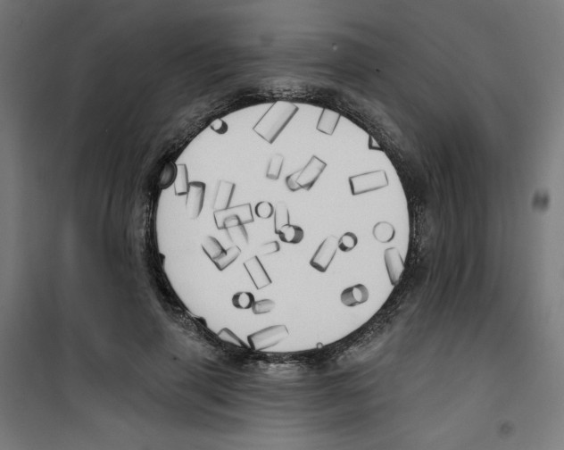 X0000100330645200807031236