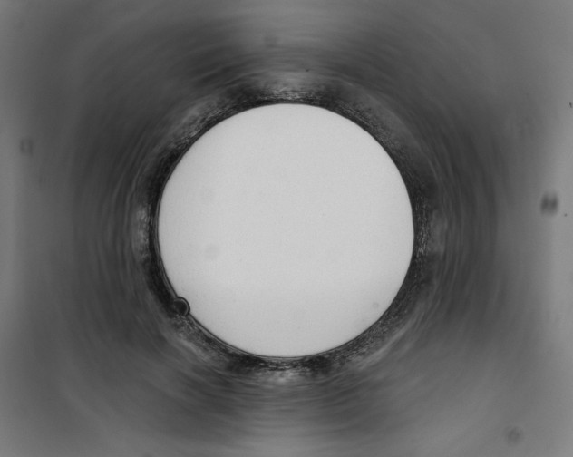 X0000100330646200807031236