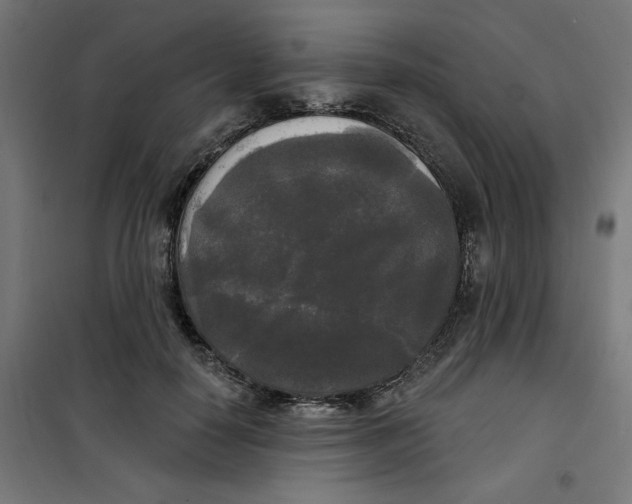 X0000100330650200807031236