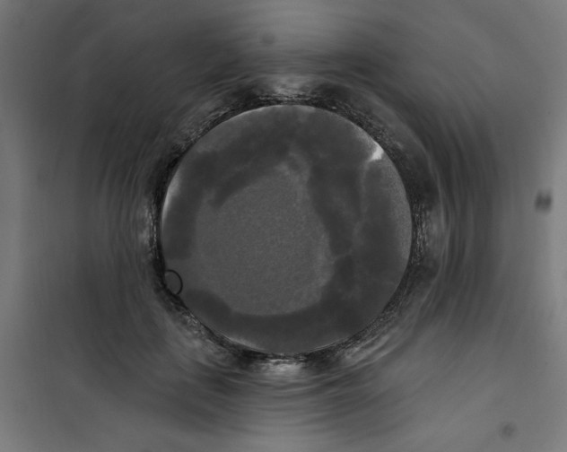 X0000100330651200807031236