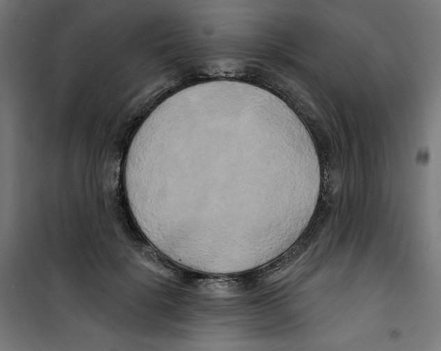 X0000100330652200807031236