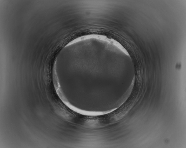 X0000100330653200807031236