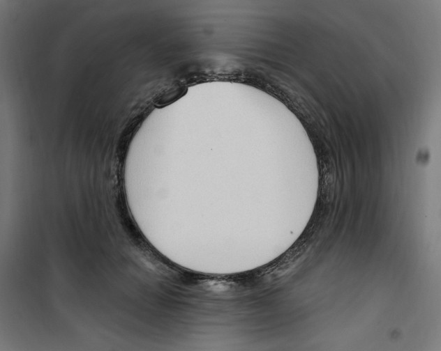 X0000100330654200807031236