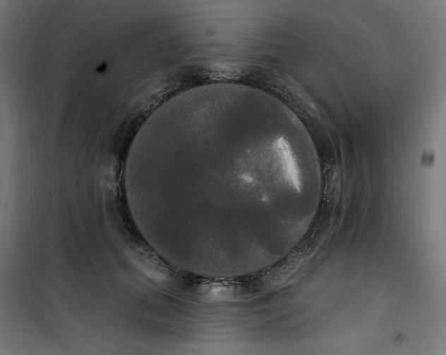 X0000100330655200807031236