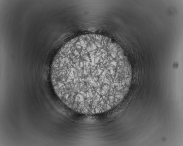 X0000100330656200807031236