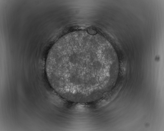 X0000100330657200807031236