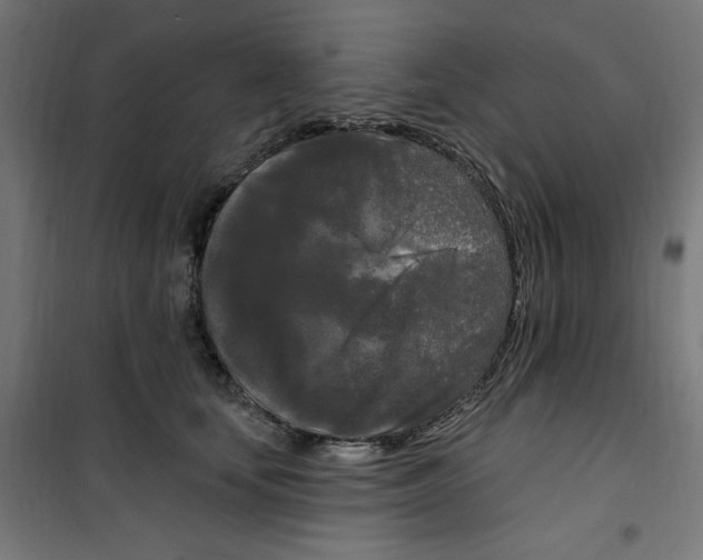 X0000100330659200807031236