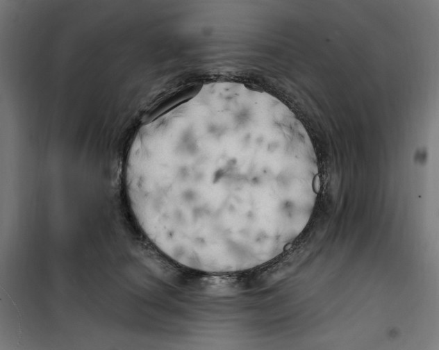 X0000100330660200807031236