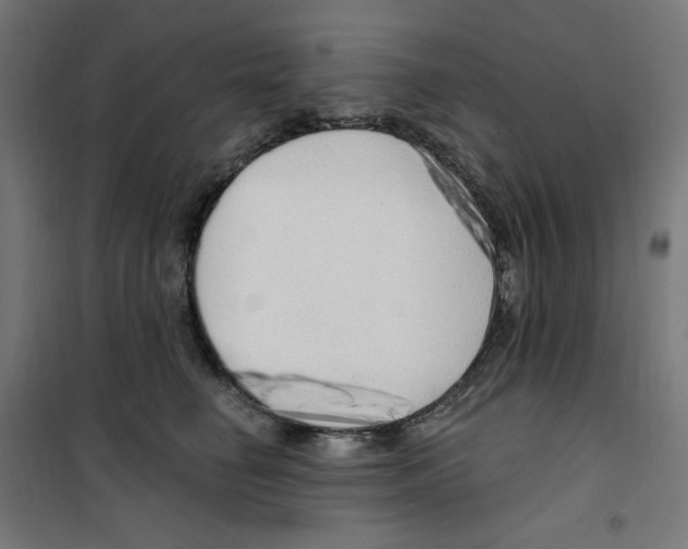 X0000100330662200807031236