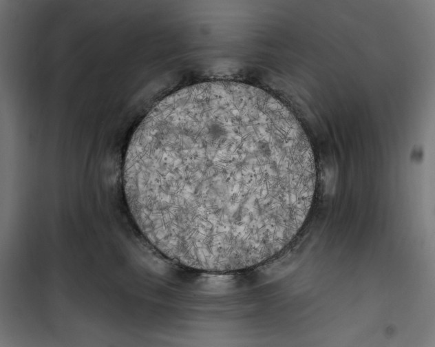 X0000100330665200807031236