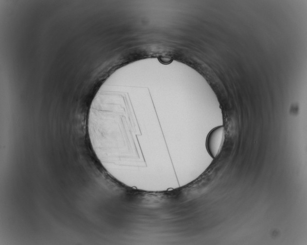 X0000100330666200807031236
