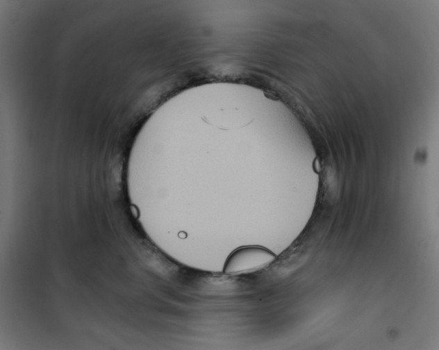 X0000100330668200807031236