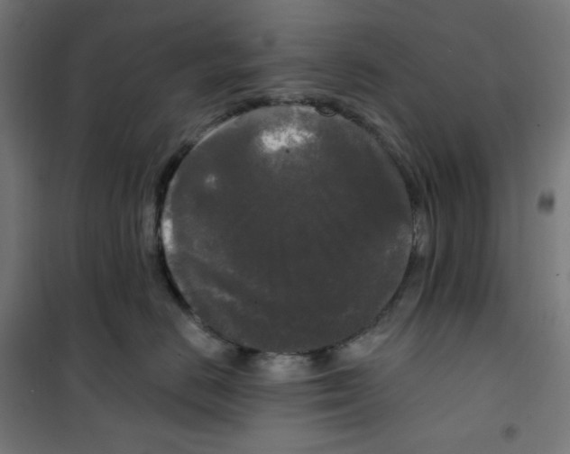 X0000100330670200807031236