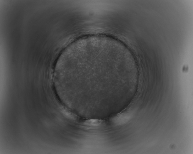 X0000100330672200807031236